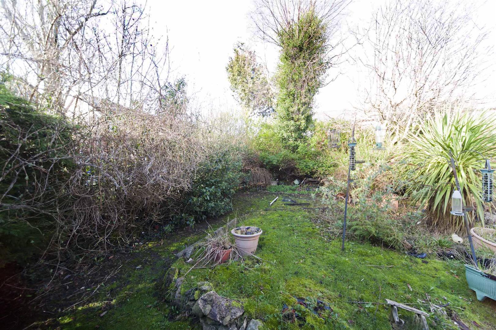 South/West Facing Rear Garden